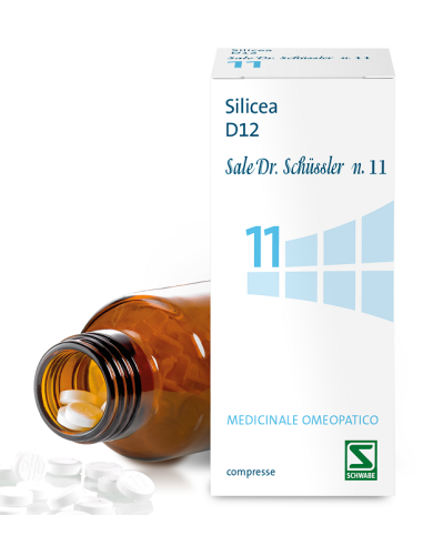 SALE DR SCHUSSLER N.11 ACIDO SILICICO D12 SIL 200