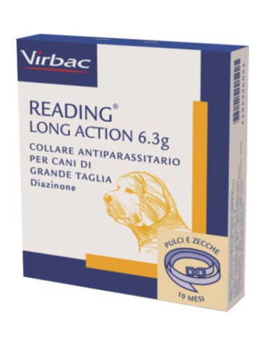 READING LONG ACT CANI GRANDI