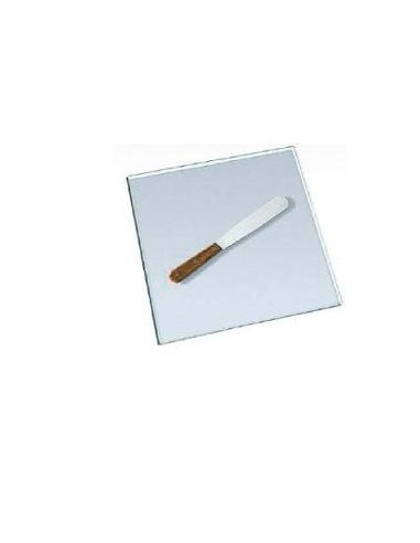 Spatola Campionatore In Acciaio Inox Con Manico Blu - 8 Pollici (20cm) - A2Z SCILAB