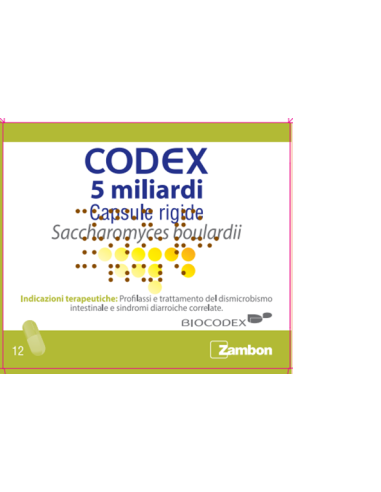 CODEX 12CPS 5MLD 250MG
