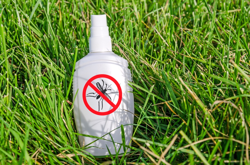 Punture d'insetto: rimedi e consigli per trattarle e prevenirle